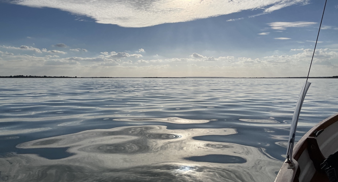 quentinsf's profile header