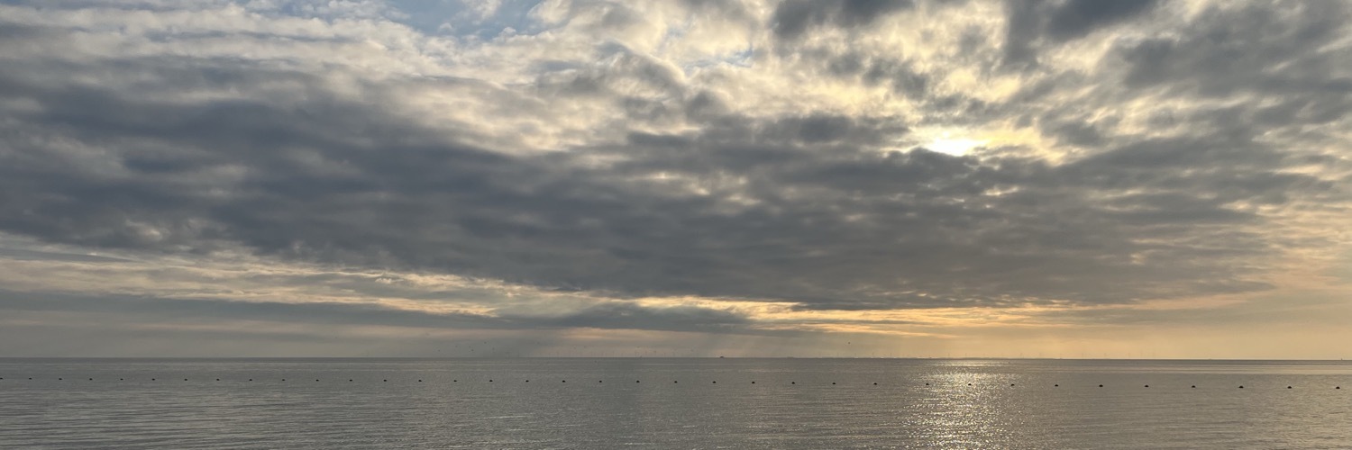 dafisch's profile header