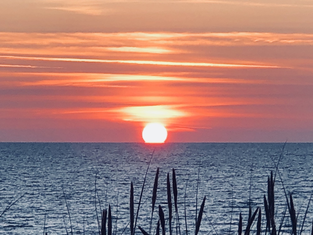User banner