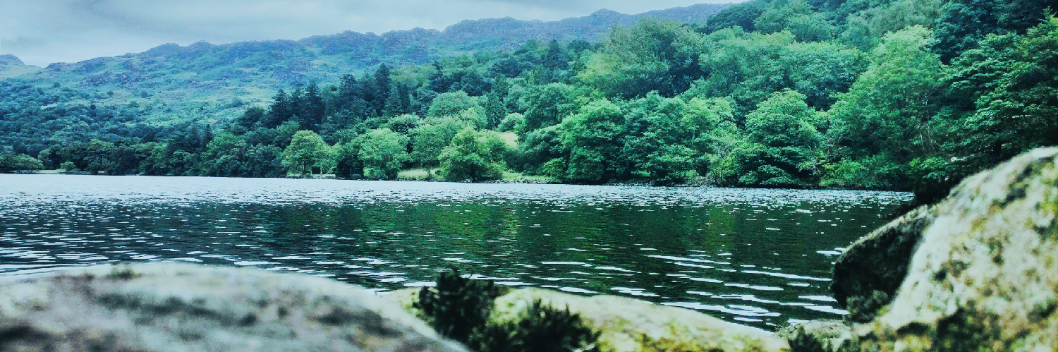 Header Image