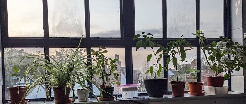 ChristinaG's profile header