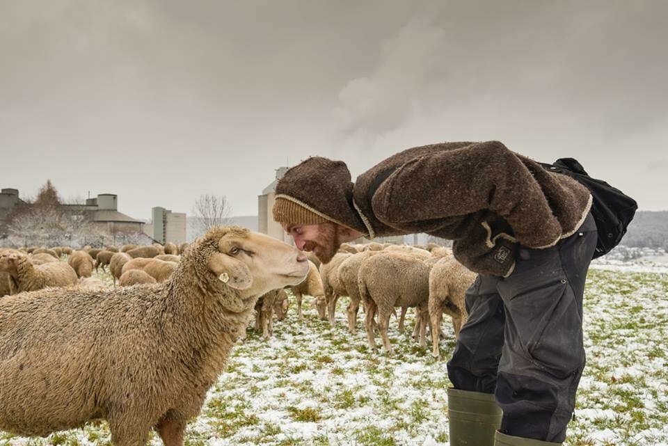 Wanderschäfer Sven de Vries's avatar