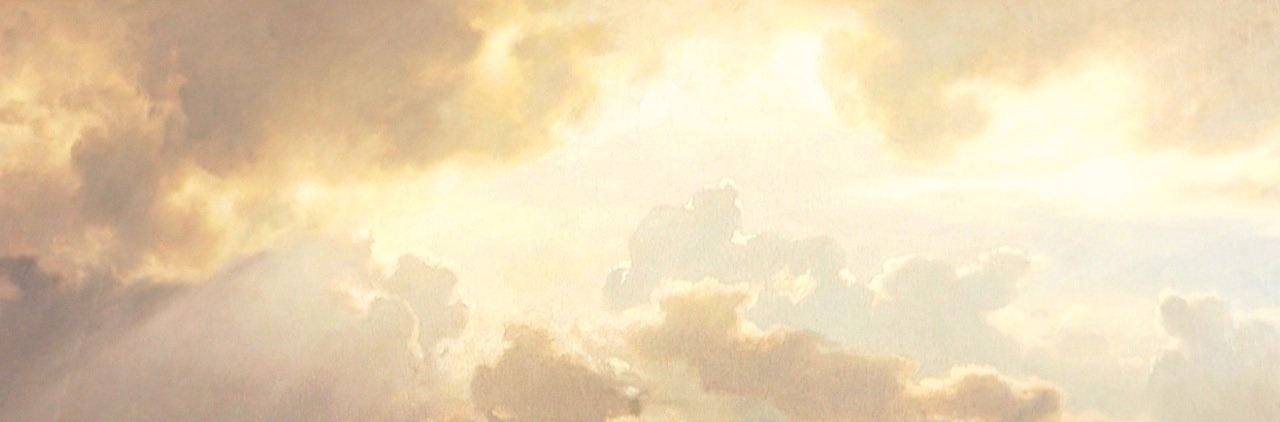 Mastodon banner for @snarl