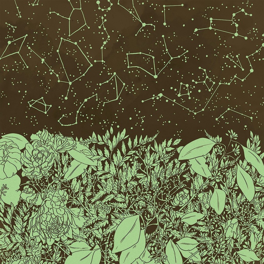 Mastodon banner for @swamp