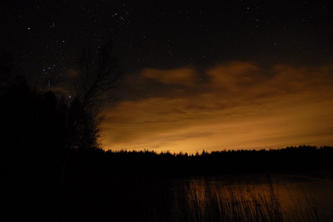 Header Image