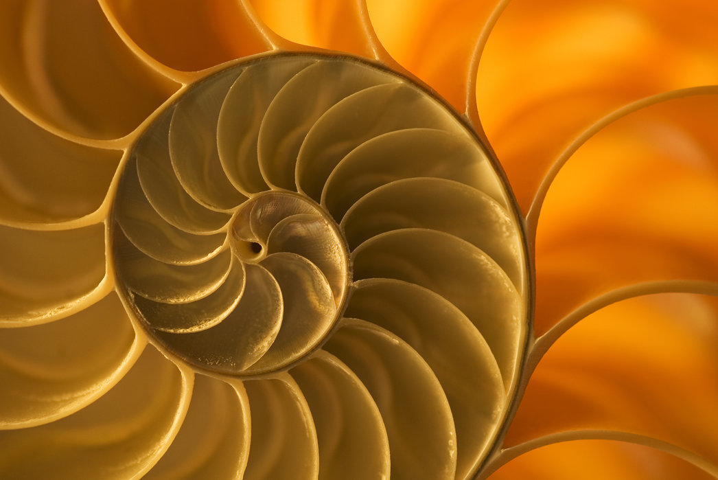 Header Image