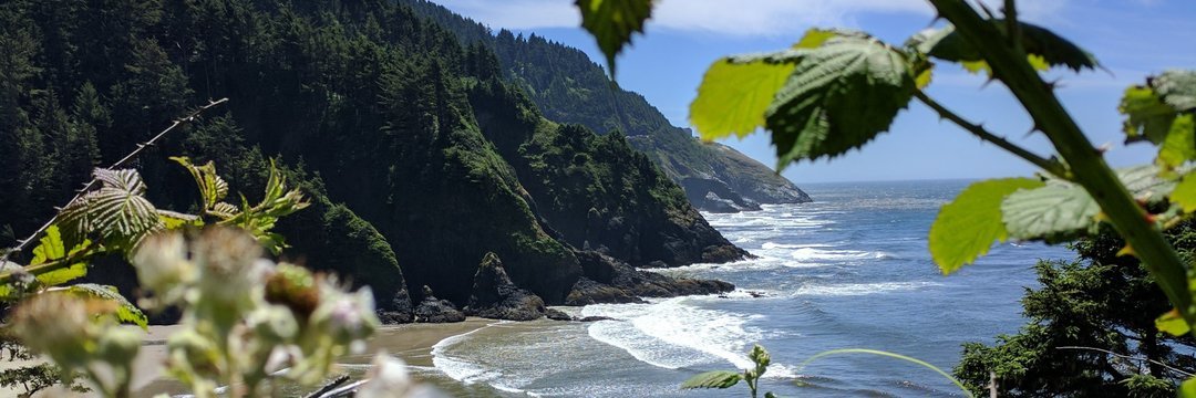 Header Image