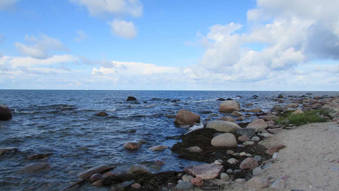 Header Image