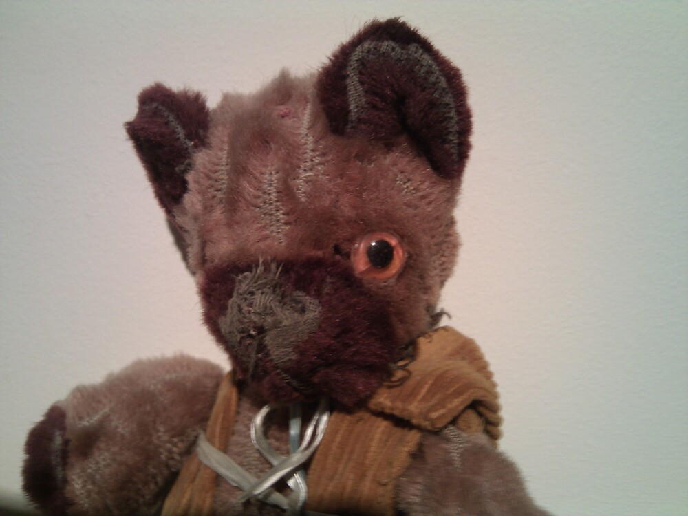 bifobear's profile header