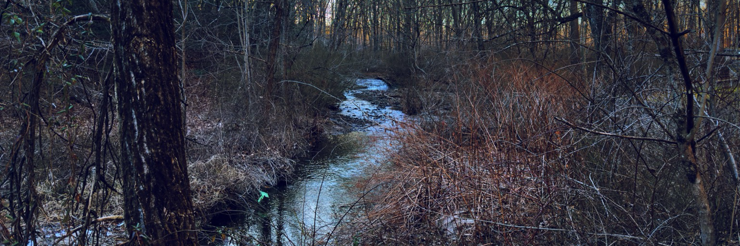 Header Image