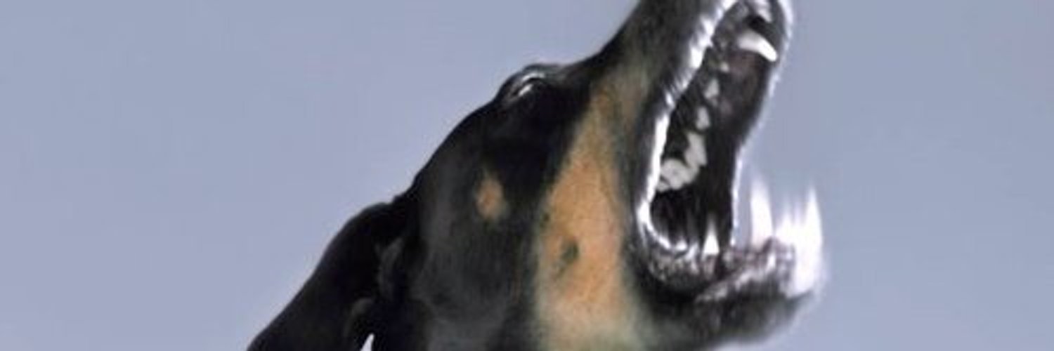 Mastodon banner for @guerra
