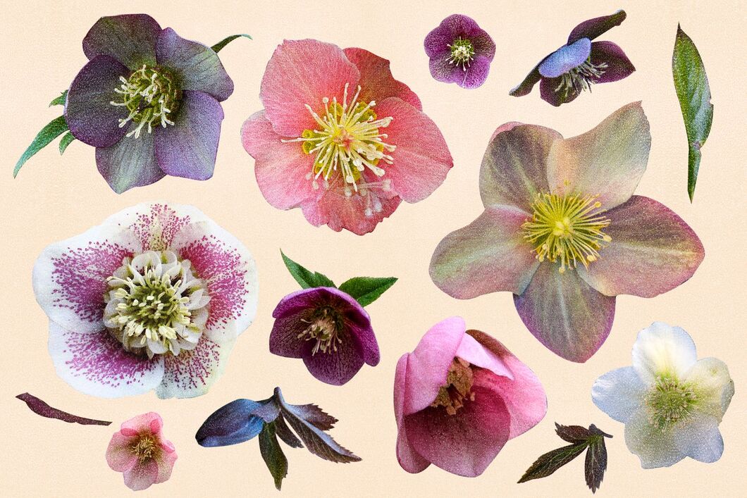 AndreaCPowers's profile header
