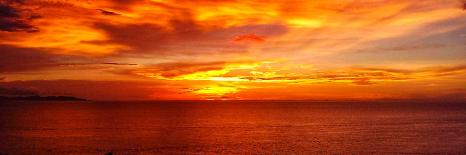 Reptilia_91's profile header