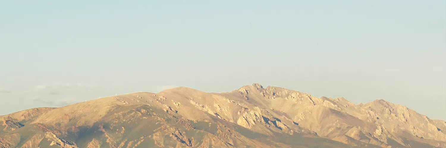 Mastodon banner for @various