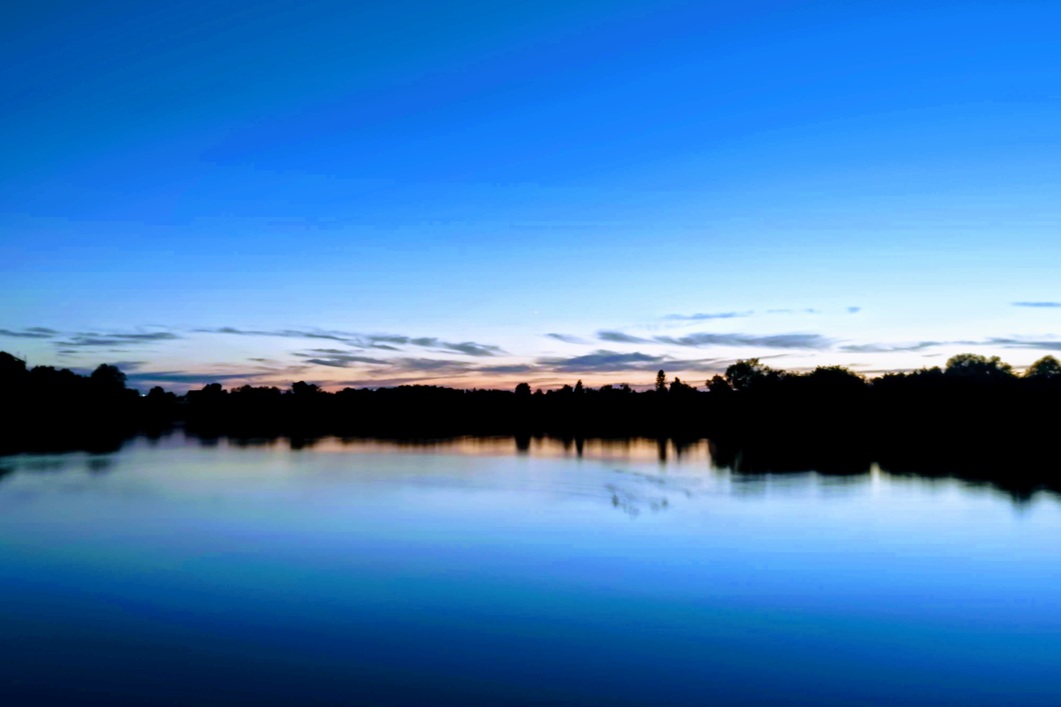 csn's profile header