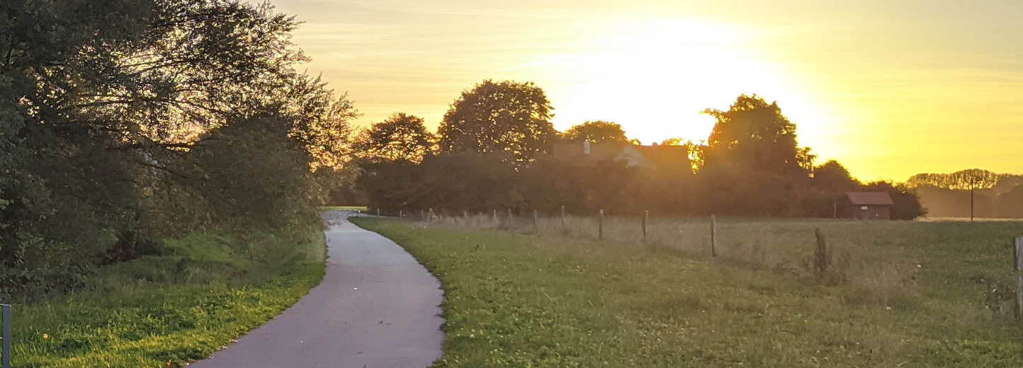 frombelow's profile header