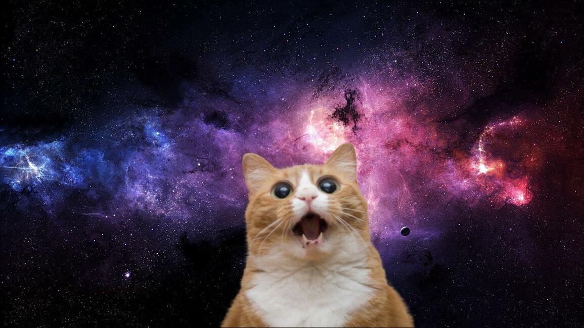 ajkohn's profile header