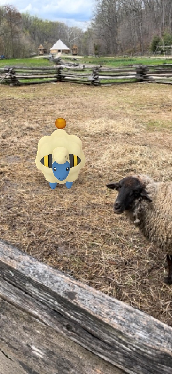 tehgort's profile header