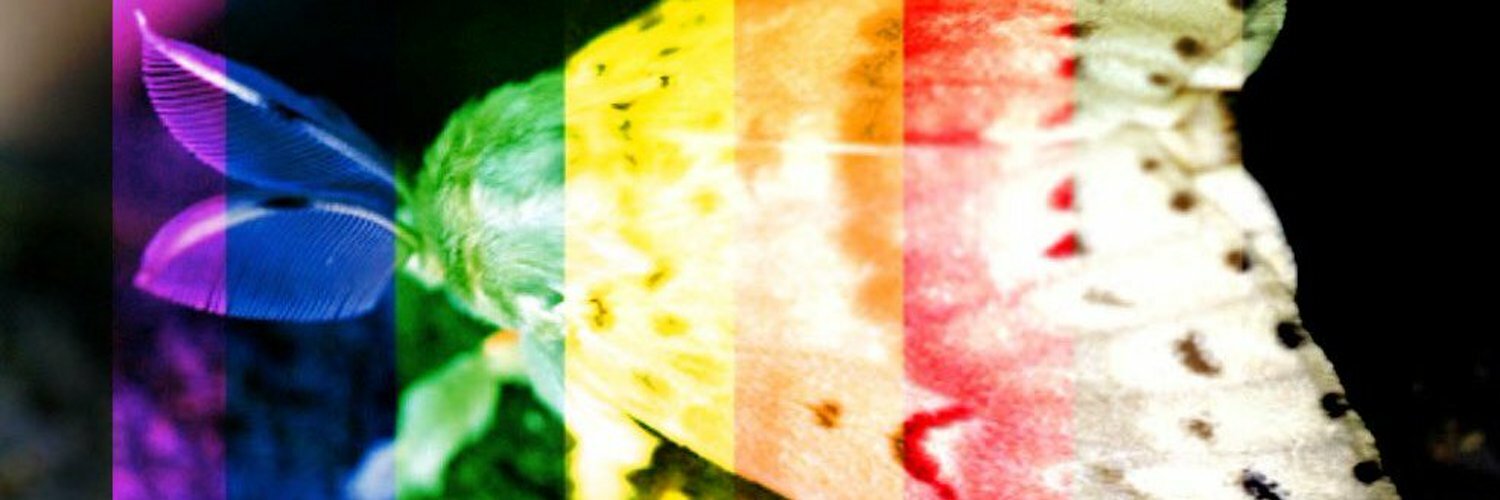 strixus's profile header