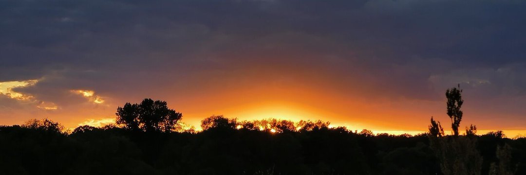 schnoeker's profile header
