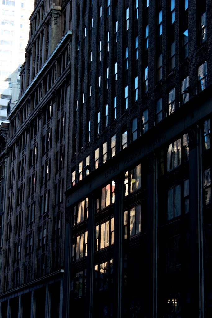 _raimund's profile header
