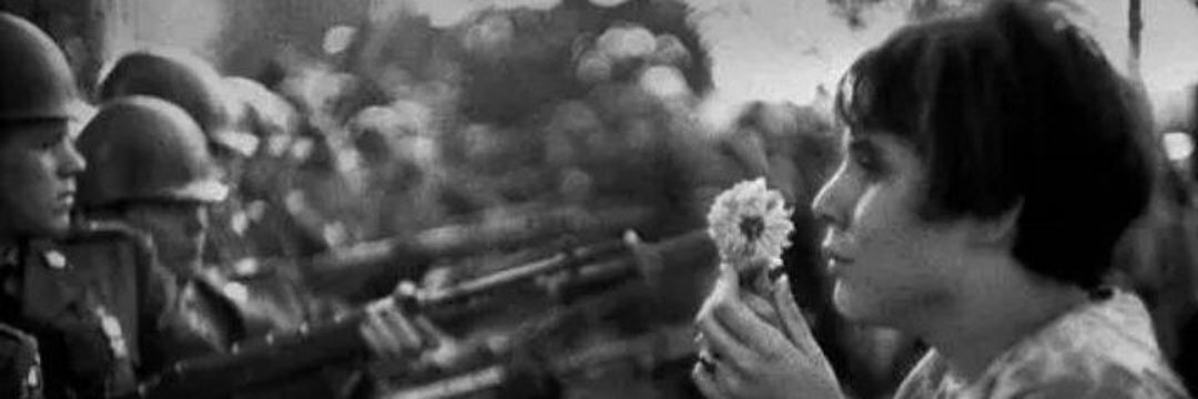 Cocolores's profile header