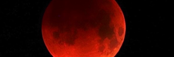 miangulo_95's profile header
