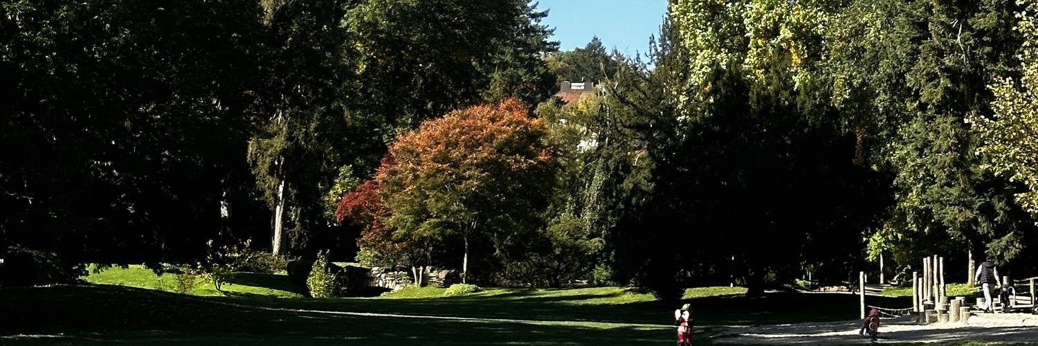 Header Image