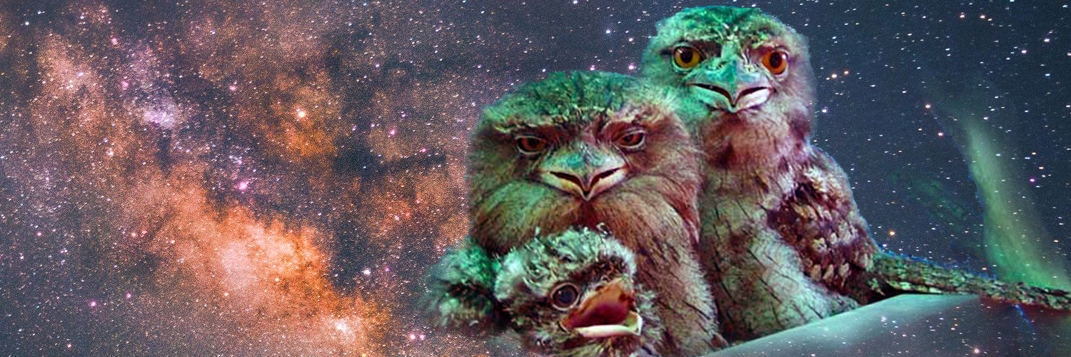 podargus's profile header