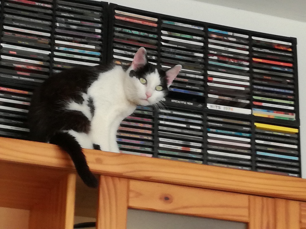 Header Image