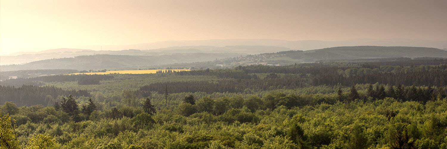 zetthochdrei's profile header