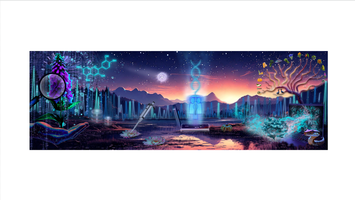 Header Image