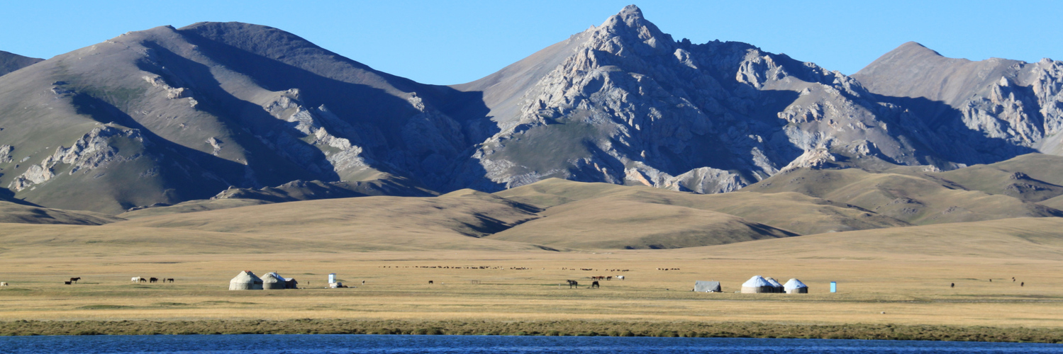 Header Image