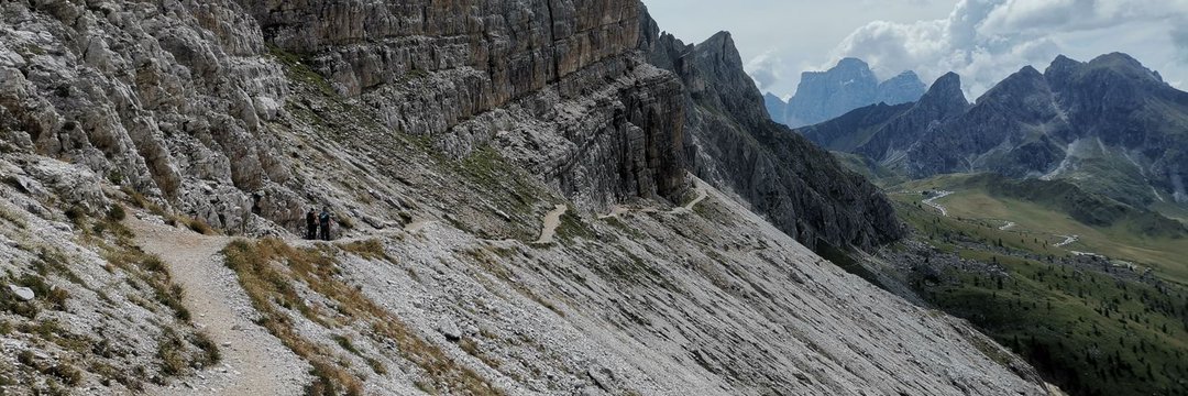 Header Image