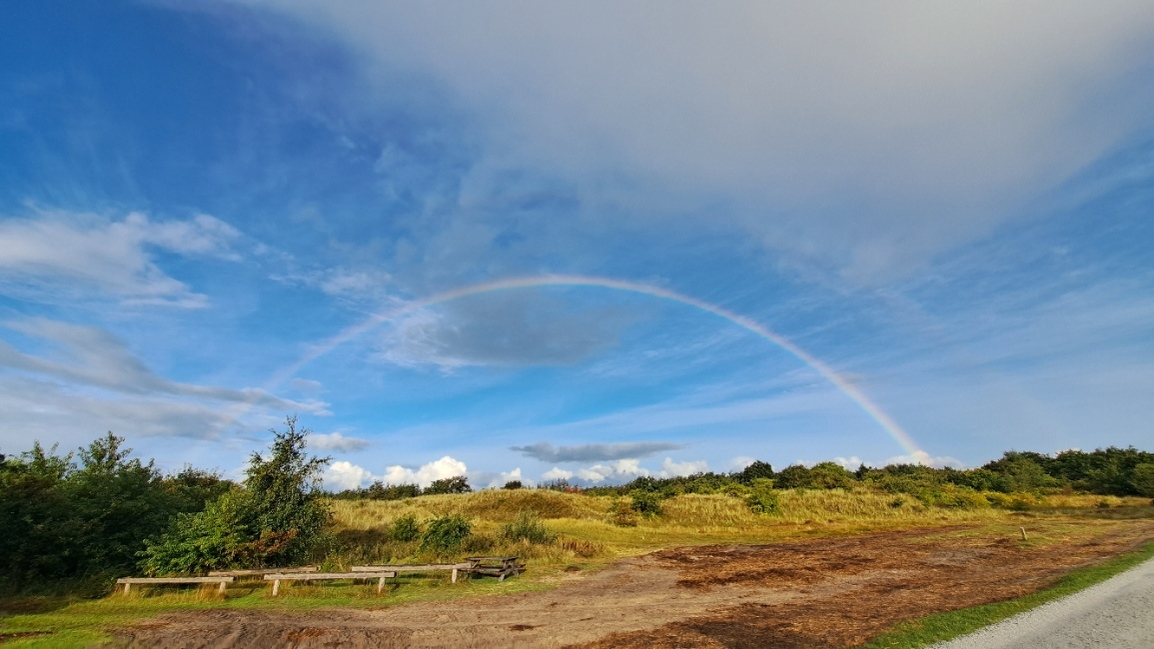 boswachteranno's profile header