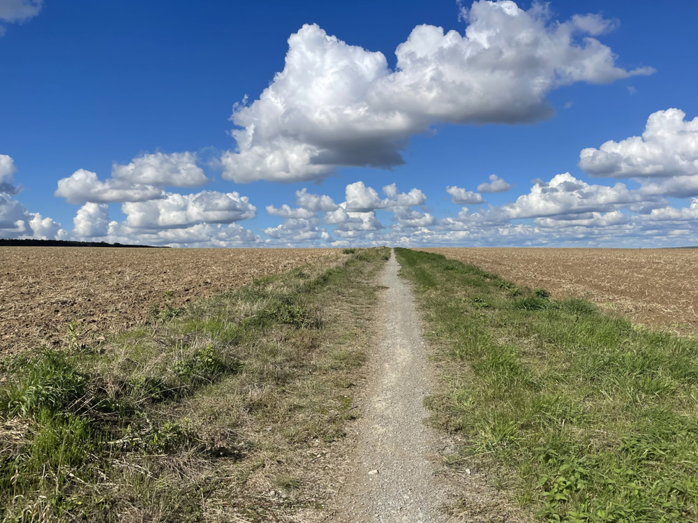 Boeren's profile header
