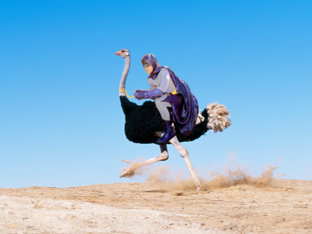 Header Image