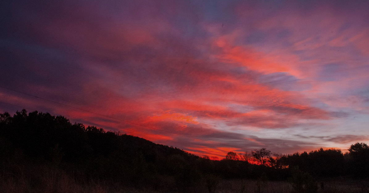Header Image