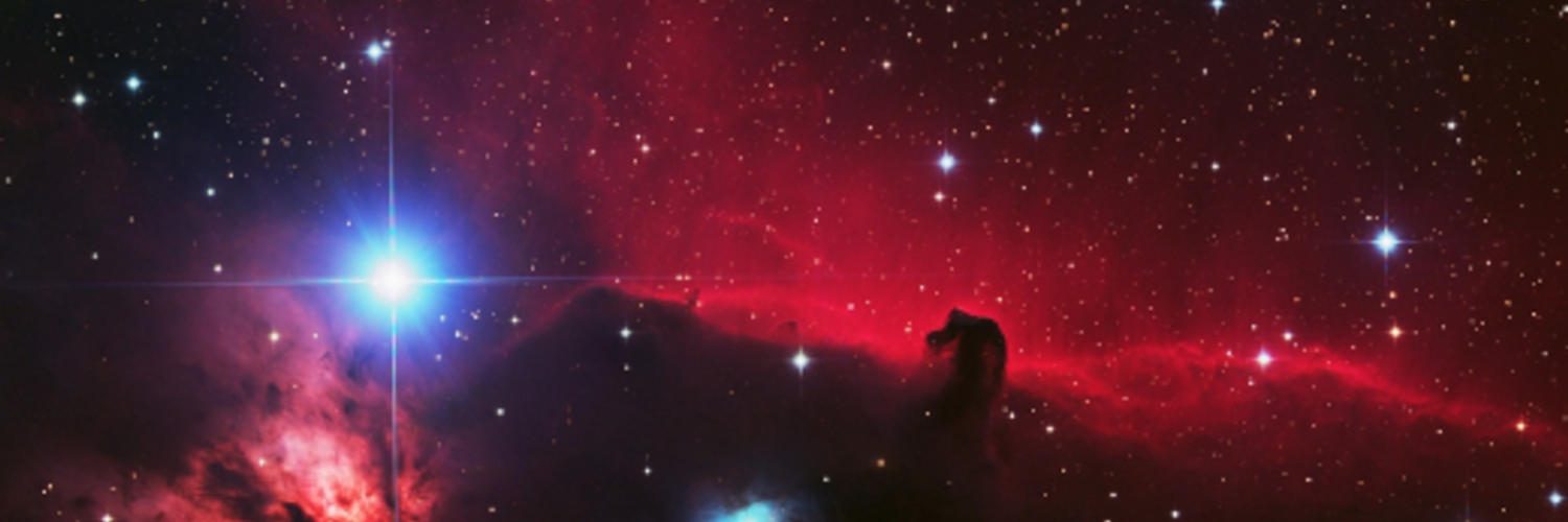ntraft's profile header