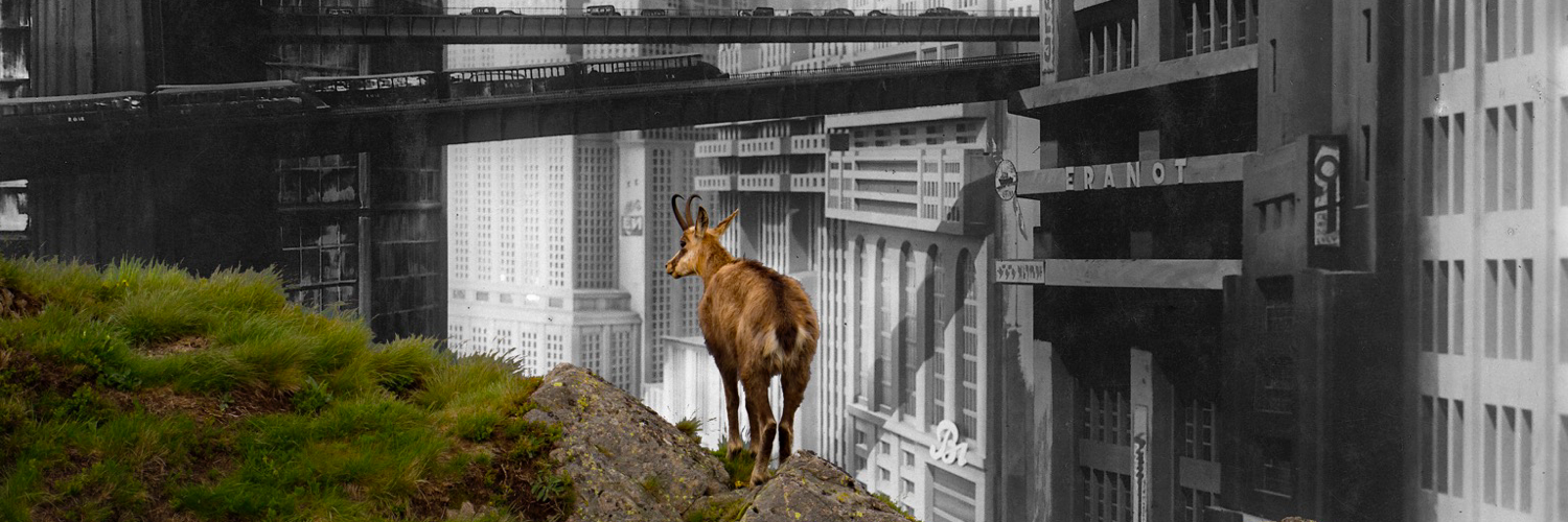 Mastodon banner for @past