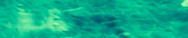 Mastodon banner for @softly