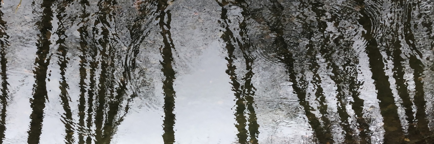 mattkenworthy's profile header