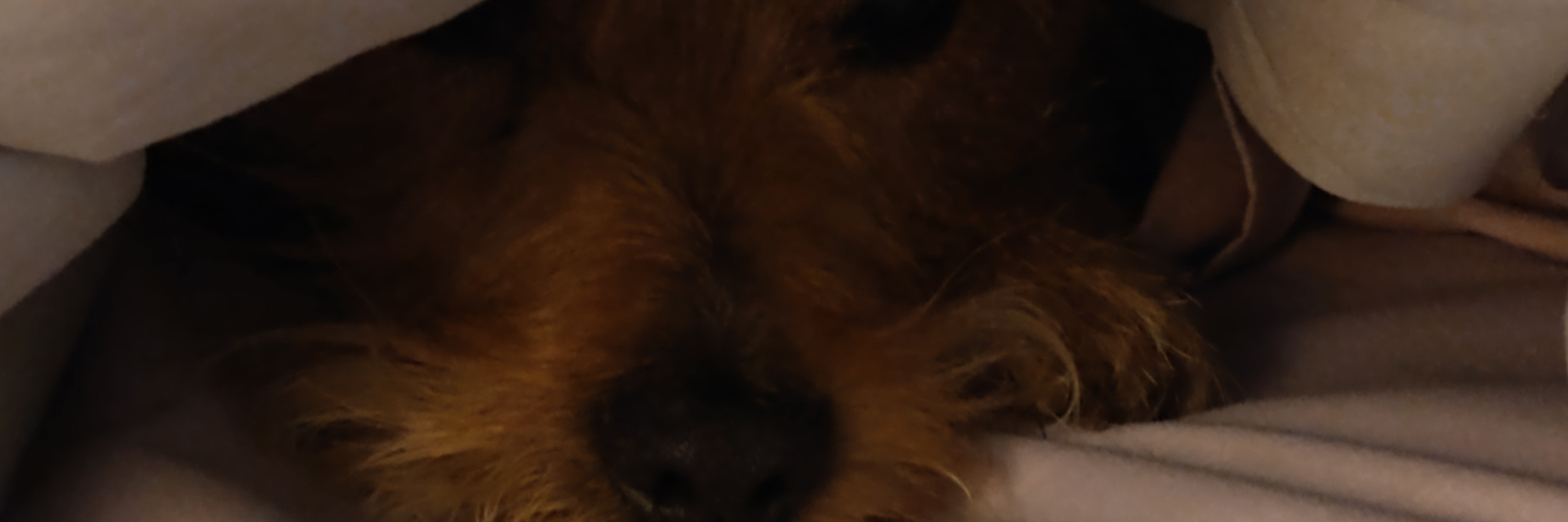 snowwrite's profile header