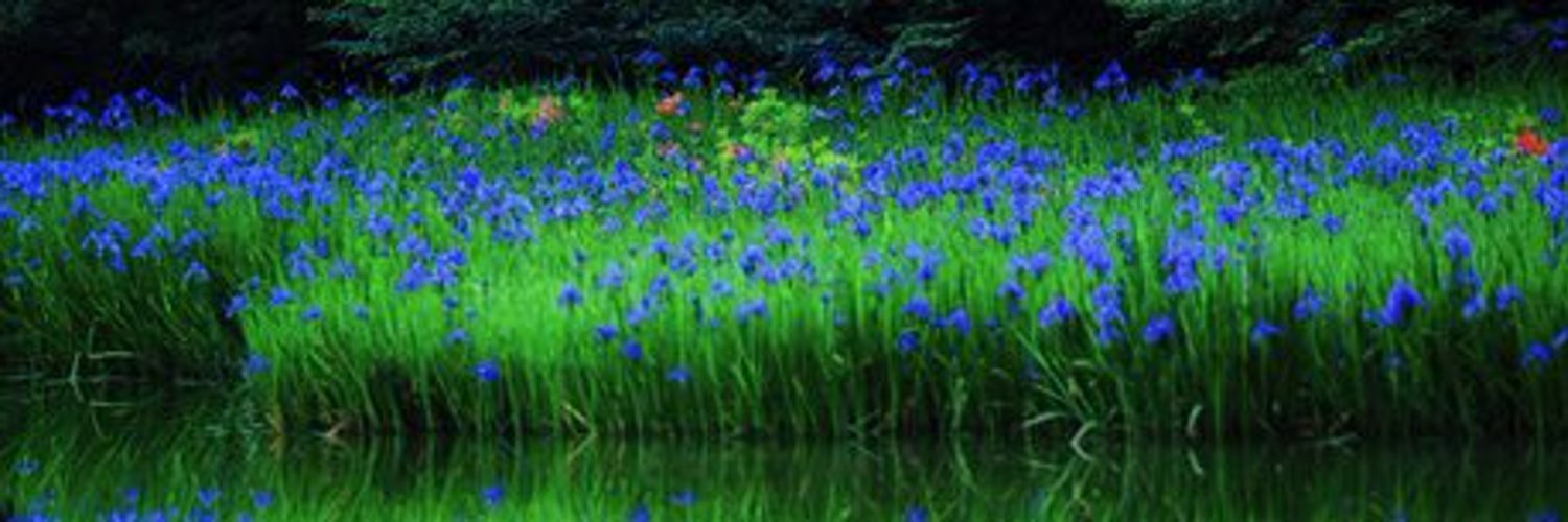 damien_anderson's profile header