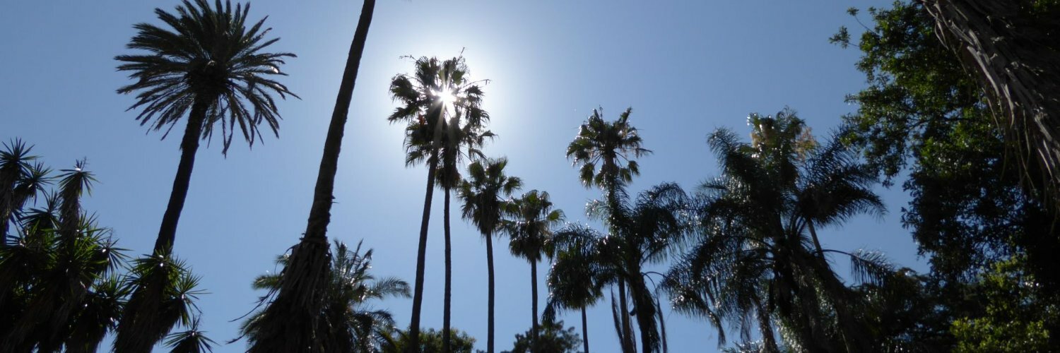 Header Image
