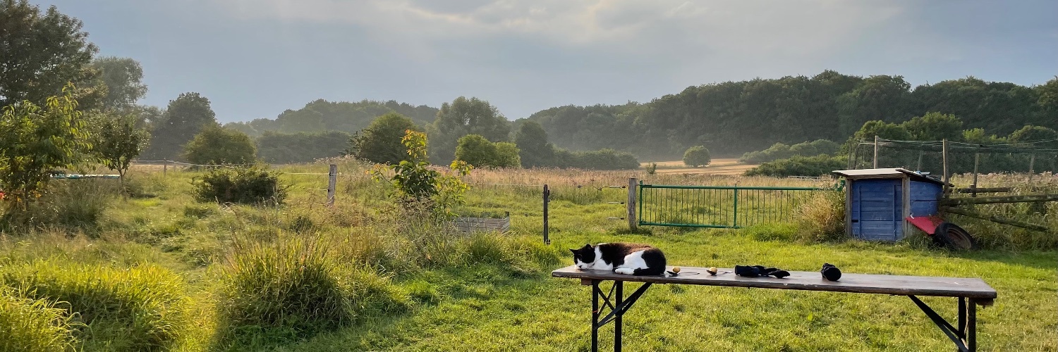 hannes_ullrich's profile header