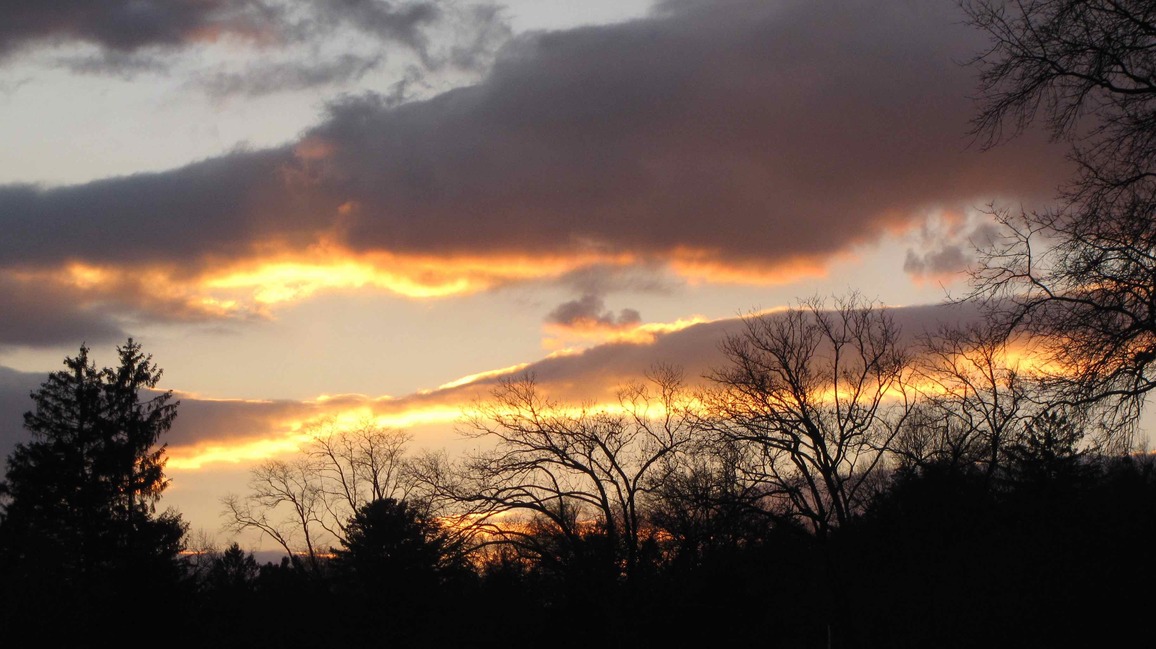 jinglepostman's profile header