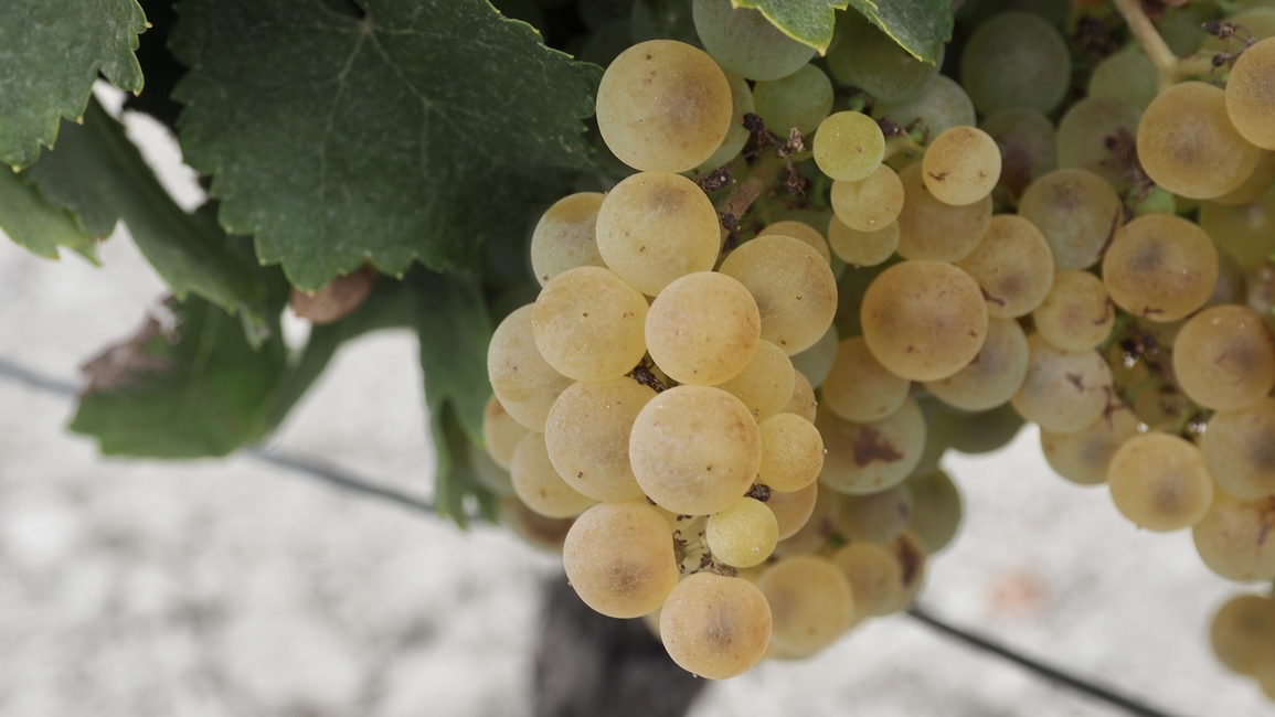 Jamiegoode's profile header