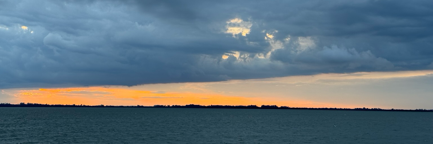 Header Image