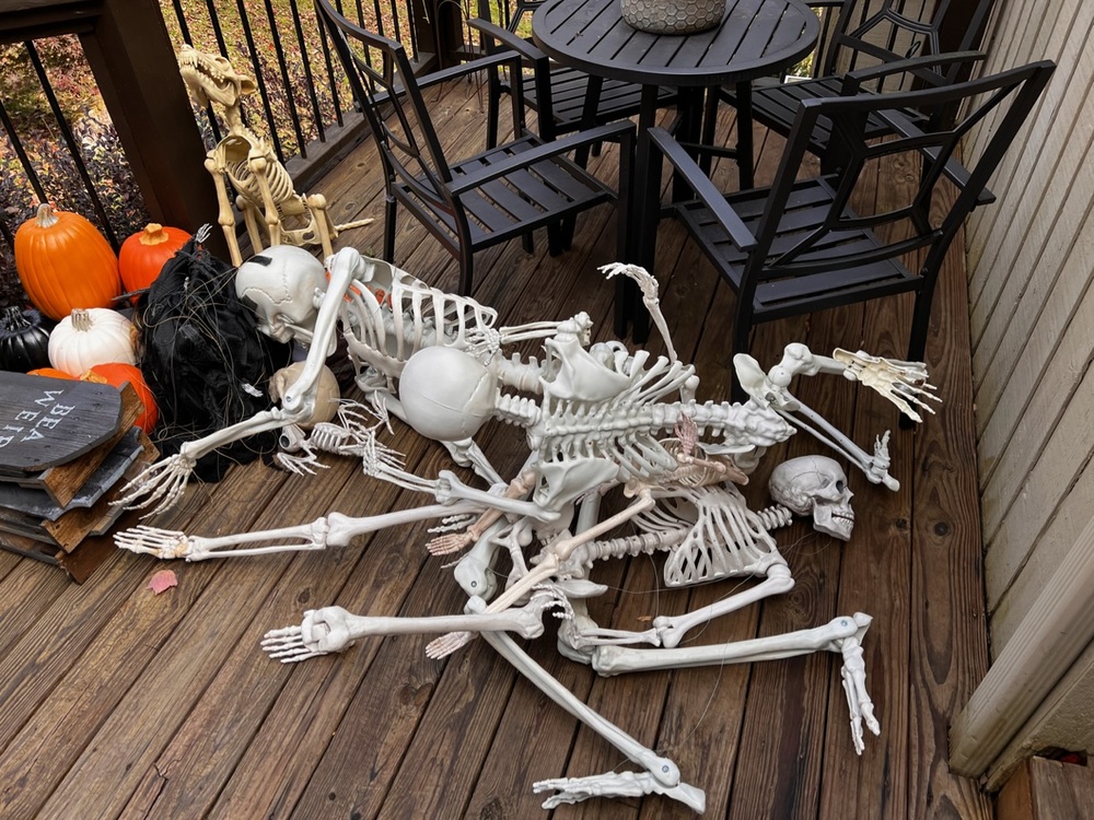 fenbranklin's profile header